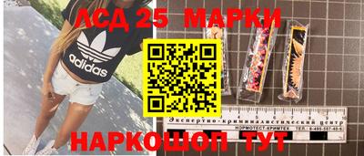 гашик Канаш