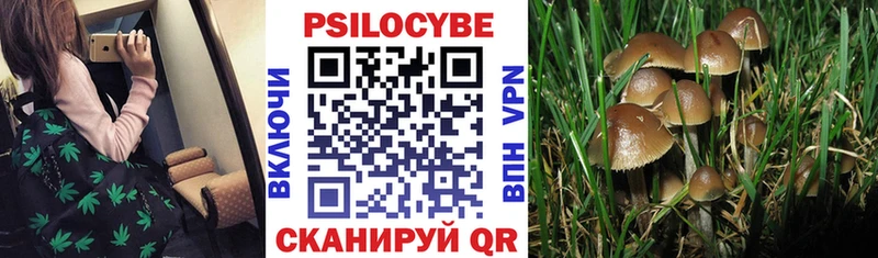 Галлюциногенные грибы мухоморы  omg   Лесозаводск 