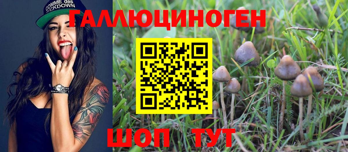 Псилоцибиновые грибы Magic Shrooms Лесозаводск